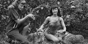 bunny-yeager-bettypage_cheetah_zps6bf7eb16 (1)