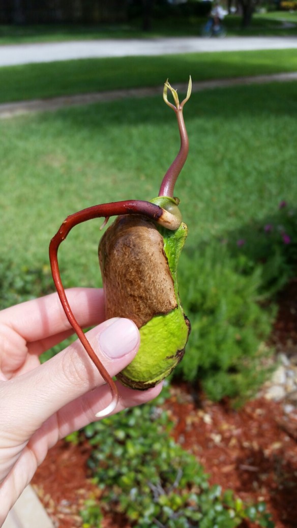 20150626_153128.jpg image