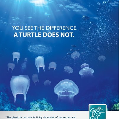 plastic bags and sea turtles